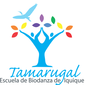 Escuela de Biodanza Tamarugal de Iquique